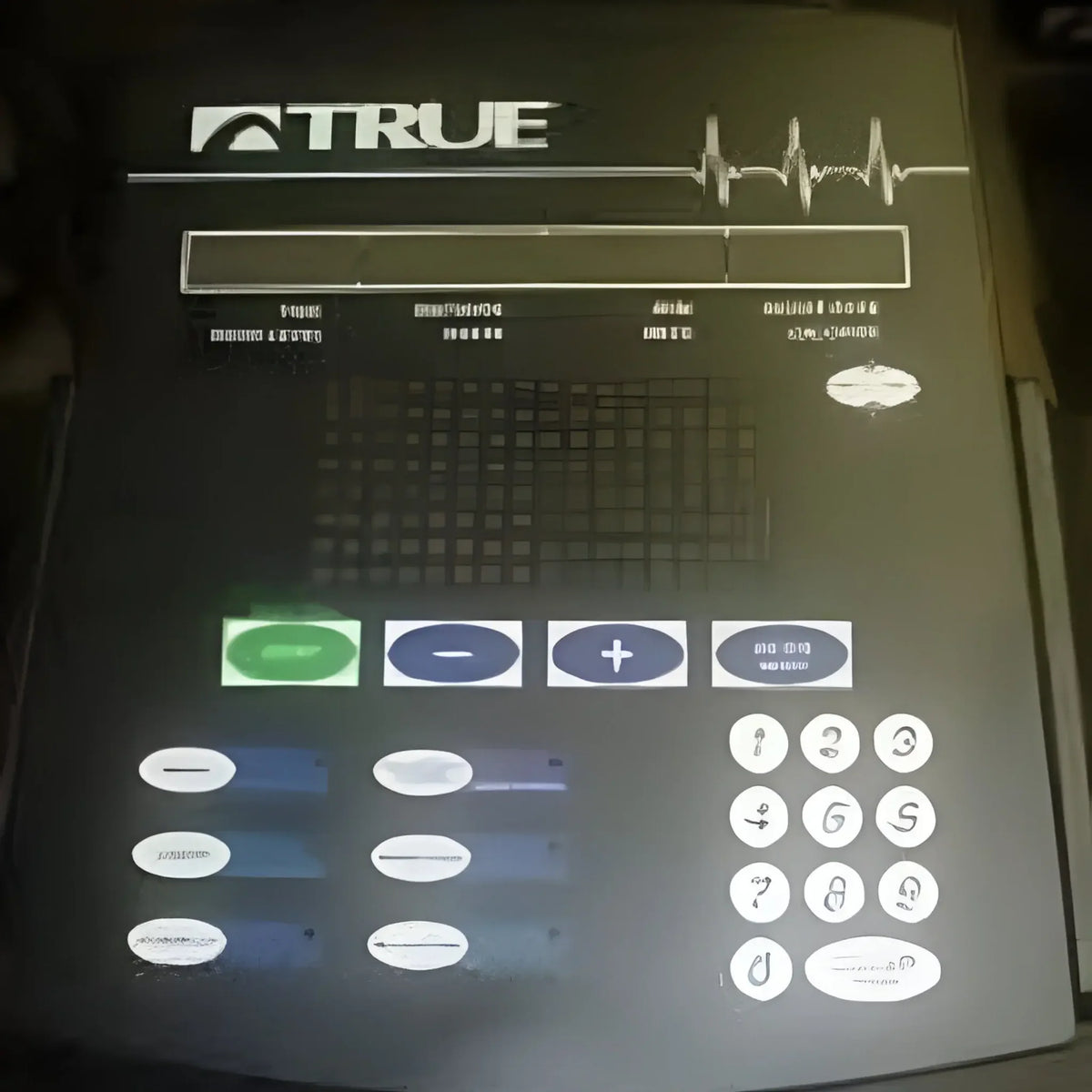 True 750e Elliptical