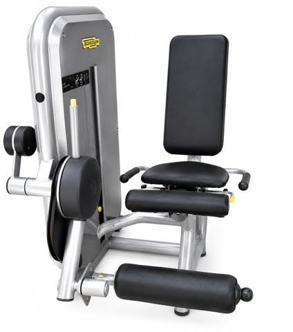 TechnoGym Leg Extension