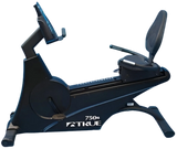 True 750R Recumbent Bike